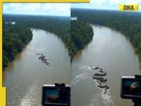 Viral video: Is it real? Giant Anaconda crawling in the Amazon leaves internet divided