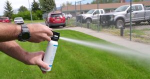 Saskatoon Faces Surge In Bear Spray Incidents Amid New Regulations