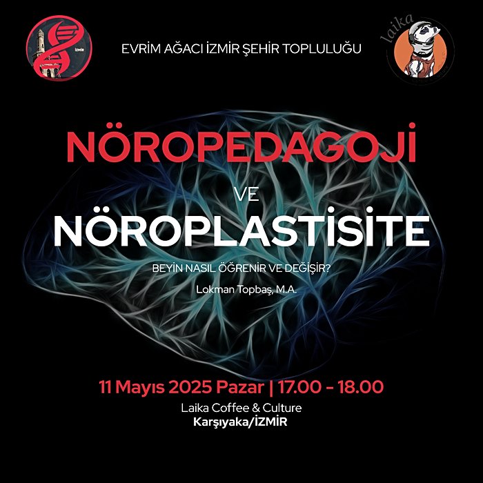 Nöropedagoji ve Nöroplastisite