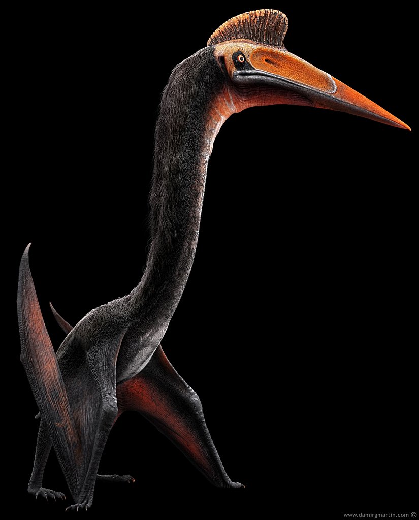 Bir Quetzacoatlus modellemesi.  Sanatçı: Damir G. Martin