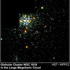 NGC 1818: Bir Yıldız Seç