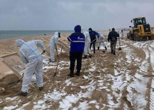 Ongoing Cleanup Of Fuel Oil Spill At Anapa Beaches