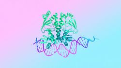 Google DeepMind, Biyolojik Tahminlerin Kapsamını Genişleten AlphaFold 3'ü Yayınladı!