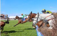 Scottish Grand National tips and runner-by-runner guide to Ayr 3.35 on Saturday