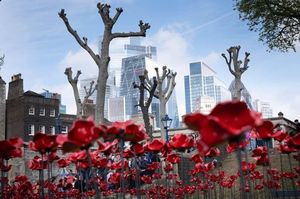 Ceramic Poppies Return To Tower Of London For Anniversary