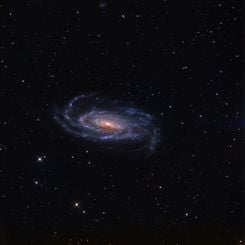 Spiral Galaxy NGC 5033