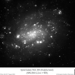 Shell Game in NGC 300