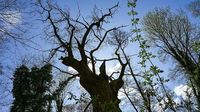 Mildes Wetter in Berlin und Brandenburg