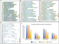 Optimization of commercial SNP arrays and the generation of a high-efficiency GenoBaits Peanut 10K panel - Scientific Reports