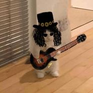 Slash Hudson