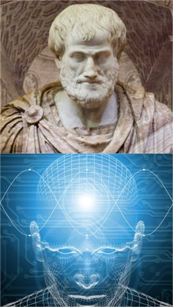 Zeka ve Bilgelik arasındaki fark nedir?