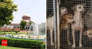 Supreme Court Revises Stray Dog Policy In Landmark Ruling