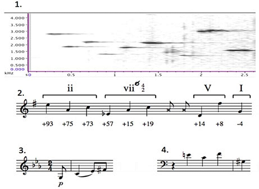 Müzisyen Çalıkuşlarının şarkıları ile insan kompozisyonları çarpıcı bir şekilde birbirine benziyor. Görselde, 1 numara kuş melodilerinin zamana bağlı frekans değişimini göstermektedir. 2 numara, kuşun melodilerinin notaya dökülmüş halidir. 3 numara Haydn'ın 103 numaralı senfonisinin açılış melodisinin ikinci bölümüdür. 4 numara ise Bach'ın A Minör'de fugue XX'in açılışıdır.