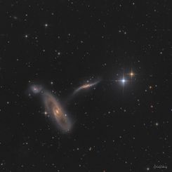  Arp 286: Trio in Virgo 