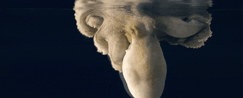 2019'da viral olan bu görüntü, bir ahtapotun uyurken renk değiştirmesini gösteriyor.