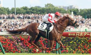 Shin Enpera Shines At G2 Neo Mu Turf Cup