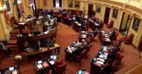 Democrats in the Virginia Senate approve redistricting amendment