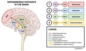 Dopaminergic Medications Alter Brain Dynamics Of Parkinson's Disease Patients