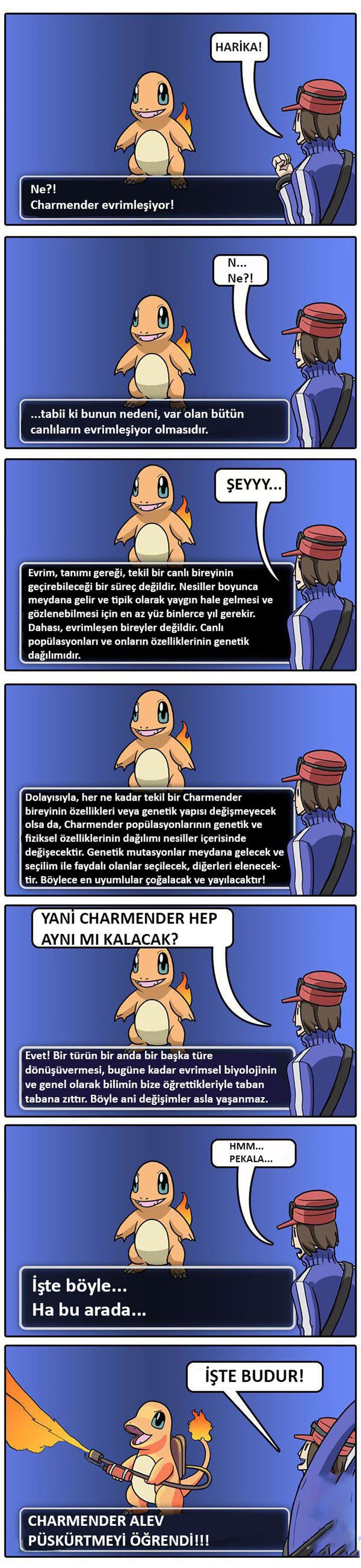 Charmander ve Evrim