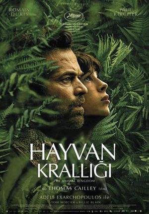 Hayvan Krallığı