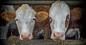 Moldova Faces Decline In Agricultural Production