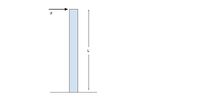 Kolonun Şematik Çizimi