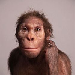 Güney Afrika'da bulunan Eski İnsan Türleri Farklı El Becerilerine Sahip!