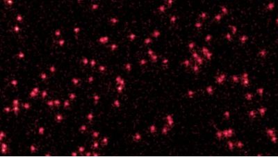 Fizikçiler İlk Kez Kendi Başına Atomların Dalga Gibi Davrandığı Net Bir Görüntü Yakaladı!