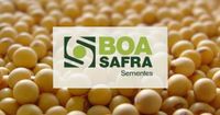 Boa Safra (SOJA3) reporta queda de 62,68% em lucro no 4T24 - Economia em Pauta