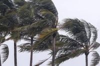 Canarias en prealerta por vientos de hasta 90 km/h desde este sábado