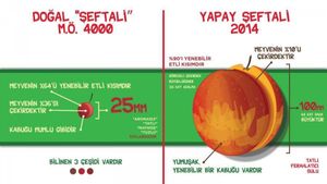 Yapay Seçilim: Şeftalinin Evrimi ve Kültürü