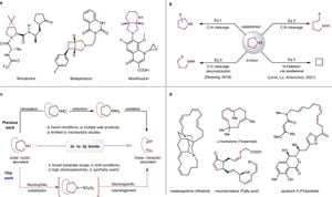 Innovative Method Enables Efficient Synthesis Of Pyrrolidine Compounds