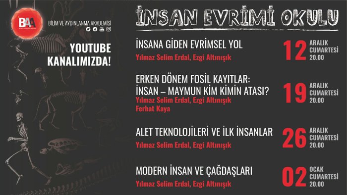 İnsan Evrimi Okulu