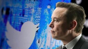 Musk's Control Over Federal Agencies Sparks Controversy