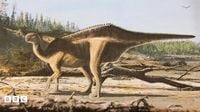 Brand new dinosaur species discovered on the Isle of Wight