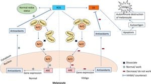 New Study Reveals Kaempferol's Potential To Combat Melanocyte Death