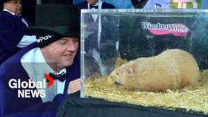 Wiarton Willie Predicts Early Spring For 2025