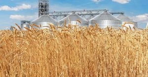 Wheat Prices Expected To Surge By 2025