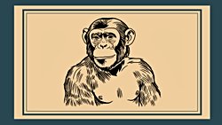 MODERN ŞEMPANZE - "İleri Medeniyet, Geri Toplum"