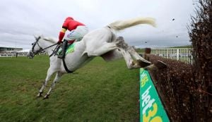 Grey Dawning Triumphs At Bet365 Premier Chase