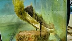 Ayakkabılarımızı Doğada Çözünebilen Plastiklerden Üretebiliriz!