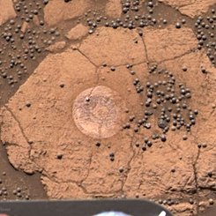 A Berry Bowl of Martian Spherules