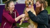 'Not fit for purpose': Vets under fire for 'lack of transparency' over pet treatment costs | LBC