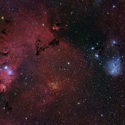 The Cone Nebula Neighborhood