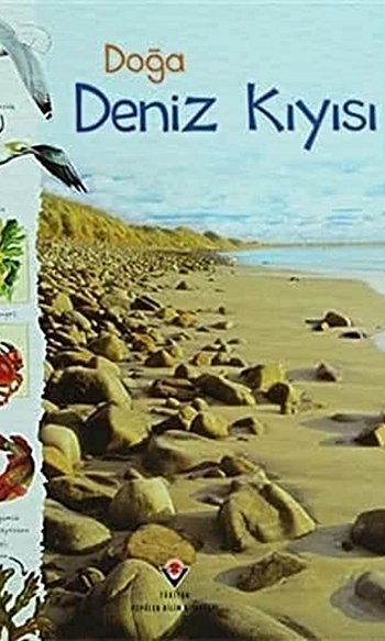 Doğa: Deniz Kıyısı