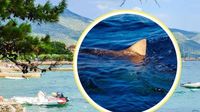 „Riesenhai“ vor Kroatien gesichtet: Riesenfisch macht Urlaubern Angst