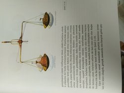 Stephen Hawking'in bu düşüncesi ya da "hipotezi" ne kadar doğru?