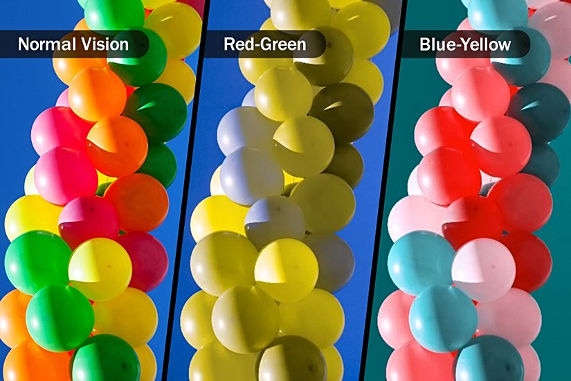 Normal Görüş, Kırmızı-Yeşil Renk Körlüğü, Mavi-Sarı Renk Körlüğü