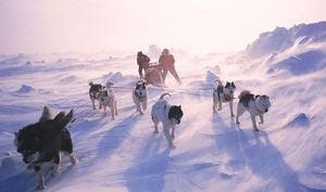 2025 Iditarod Faces Historic Low Of 33 Mushers