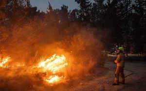 Israel Declares National Emergency Amid Raging Wildfires